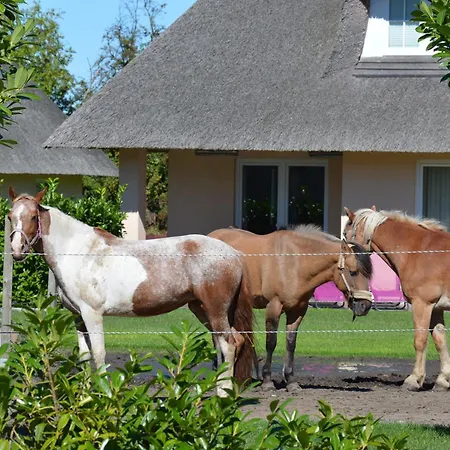 Gartenhaus 2, Inkl 1 Parkplatz