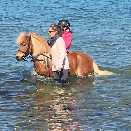 Prázdninový dům Gartenhaus 2, Inkl 1 Parkplatz *