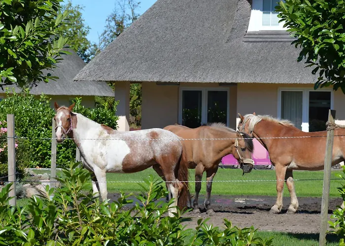Gartenhaus 2, Inkl 1 Parkplatz
