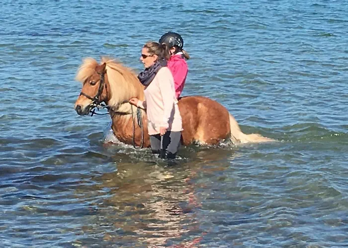 度假居 Gartenhaus 2, Inkl 1 Parkplatz *