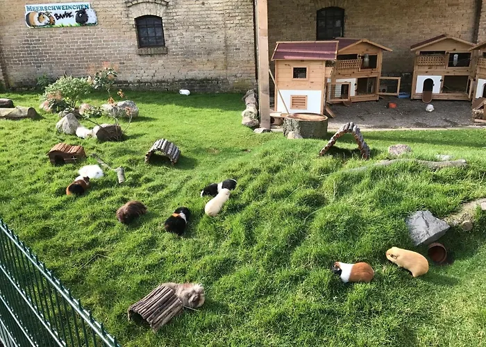 Gartenhaus 2, Inkl 1 Parkplatz 度假居